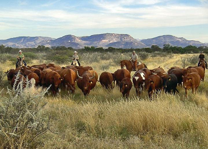 Gross Okandjou in Omaruru / All Regions