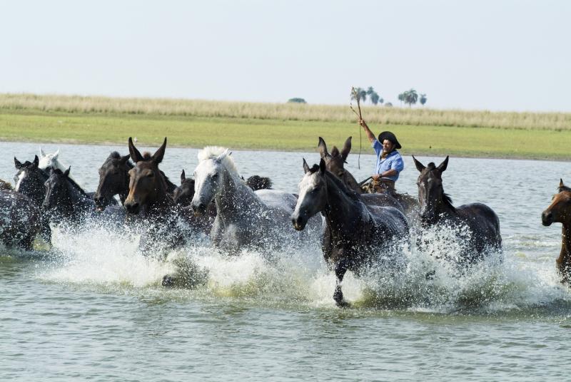 Gaucho-Argentino in Esquina, Provinz de Corrientes / Alle Regionen