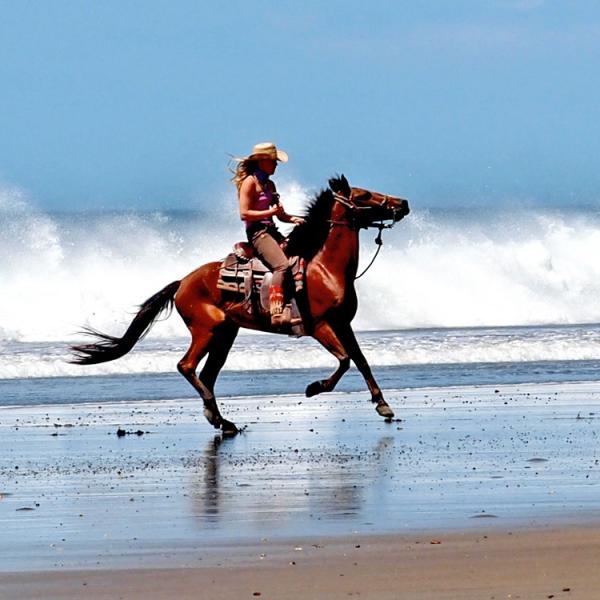 Big Sky Ranch in San Juan del Sur / Alle Regionen