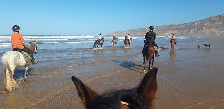 Equi Evasion Morocco in Essaouira, Diabat / All Regions