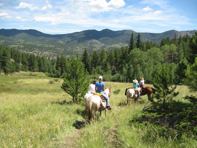 North Fork Ranch in Shawnee / Colorado