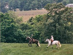 Bed & Breakfast at Penmerryl in Greenville / Virginia