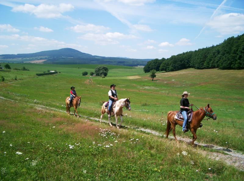 Dream job as a riding guide available!