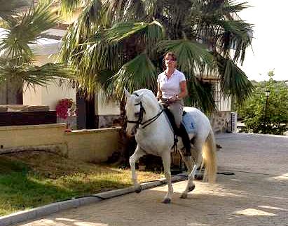 Becaria para Yeguada de Lusitanos en la Costa del Sol