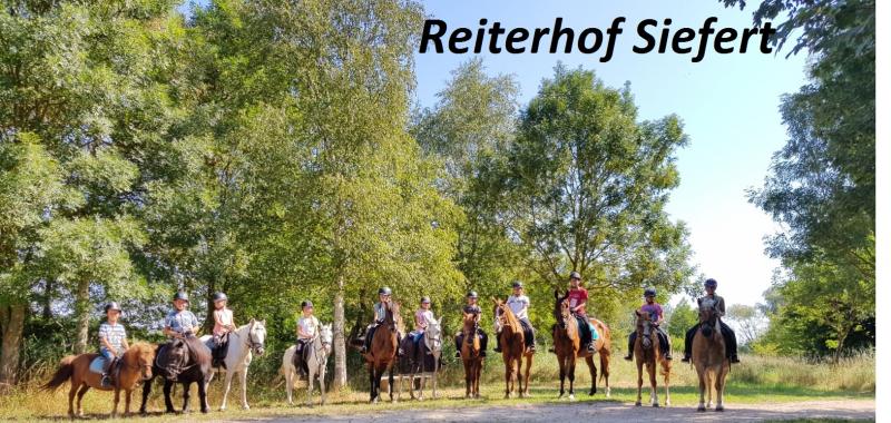 Ferien- & Reiterhof Siefert in Wustrow / Wendland / Niedersachsen