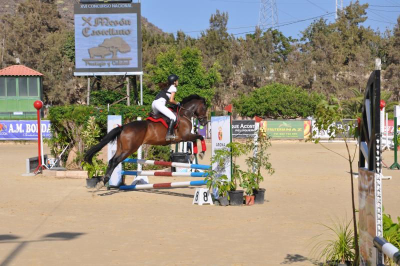Aupair für mindestens 3 Monate Springstall und Therapiezentrum