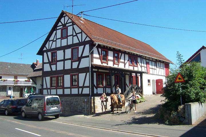 Islandpferdehof Hestavin in Grünberg-Lardenbach / Hessen