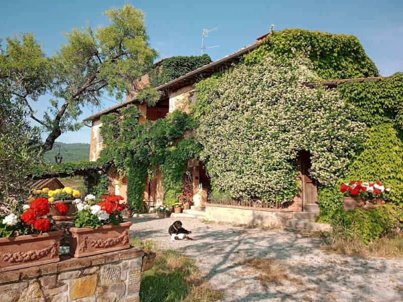 Rendola-Riding in Montevarchi (AR) / Toskana
