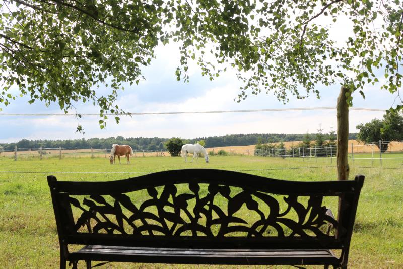 Ferienhaus "Zum Koppelblick" in Cölpin OT Neu Käbelich / Mecklenburg-Vorpommern