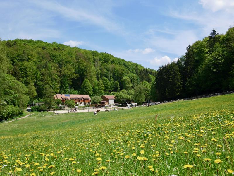 Praktikum auf wunderschönem Ferienreiterhof Märchenmühle, Bayern