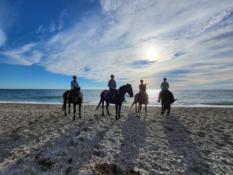 Hilfe gesucht fuer unseren privaten Offenstrall in Andalusien, Costa del Sol