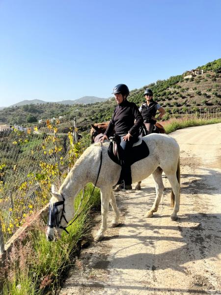 Pferdeaupair für 4 Pferde im schönen Andalusien gesucht