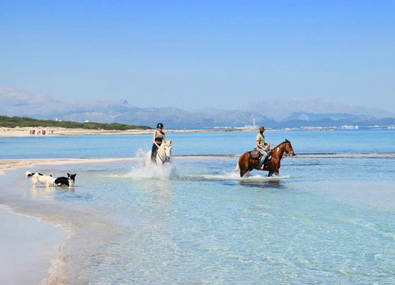 Naturacavall in Manacor / Balearic Islands Majorca, Ibiza,..