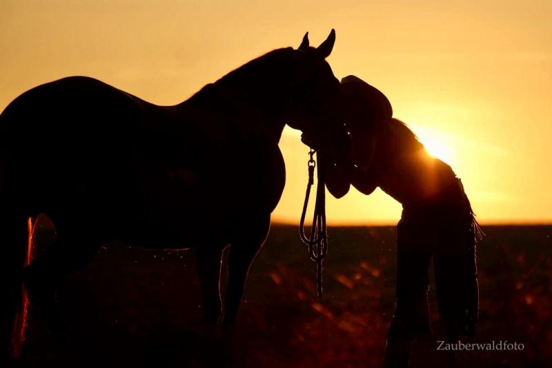 Reitlehrer*in und/oder Ranch-Helfer*in auf Westernranch mit Kinderreitschule gesucht!