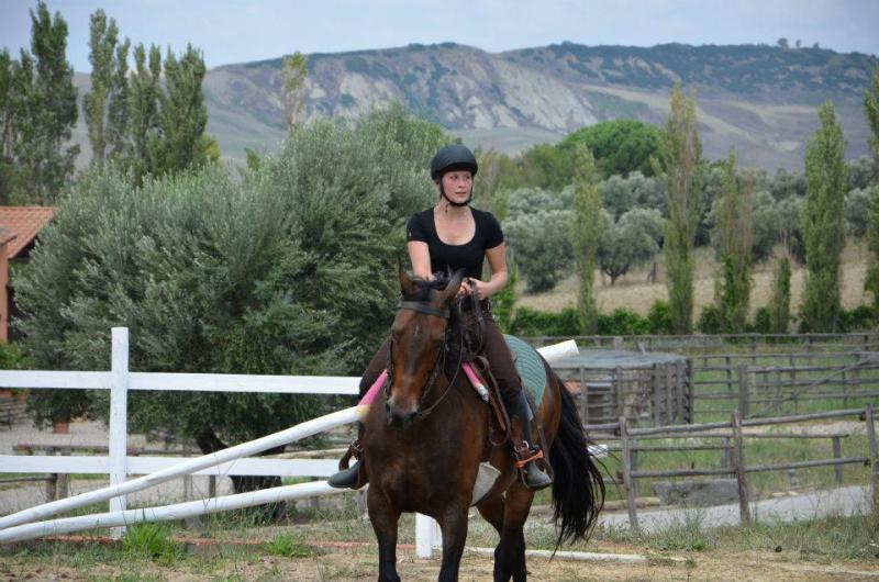 Horse grooming/ Cats and dogs Grooming/ Stable hand in Italy