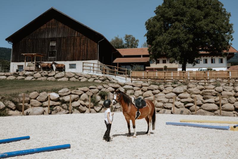 Riding holiday farm is looking for Intern or Aupair
