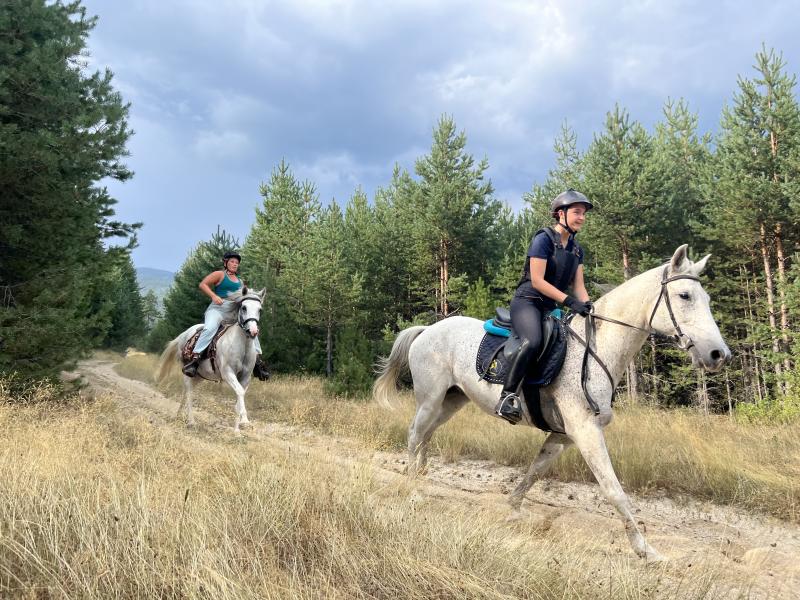 Lead Rider for Horse Riding Tours in the nature of Rila National Park, Bulgaria