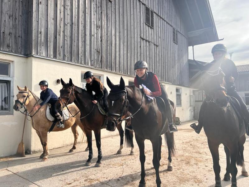 Reitlehrer (m/w/d) gesucht!