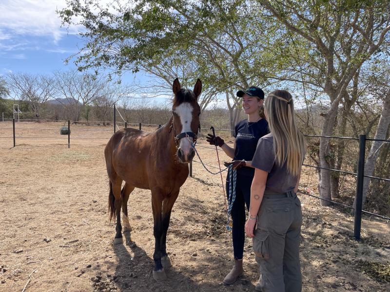 Internships and permanent positions available at our ranch in Mexico