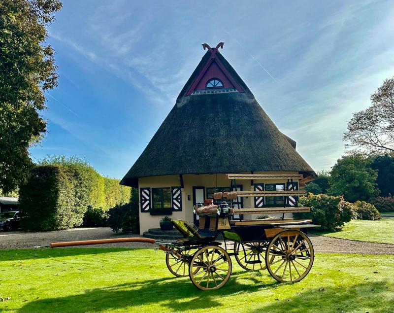 Für einen kleinen privaten Pferdehof am Niederrhein bei Alpen suchen wir eine/n Reiter/in oder Trainer/in (m/w/d) in Vollzeit