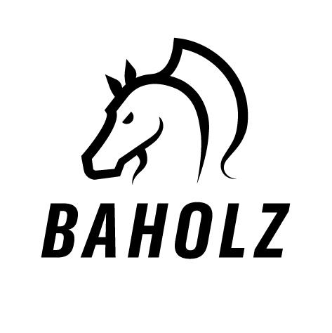 Pferdewirt*in klassische Reitausbildung in der Region Zürich 50 - 100 % dauerhaft gesucht!