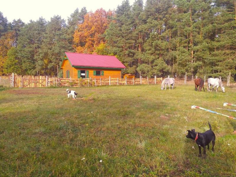 Agroturystyka Polana Harmonii in Przytoczna / Schlesien und Westpolen