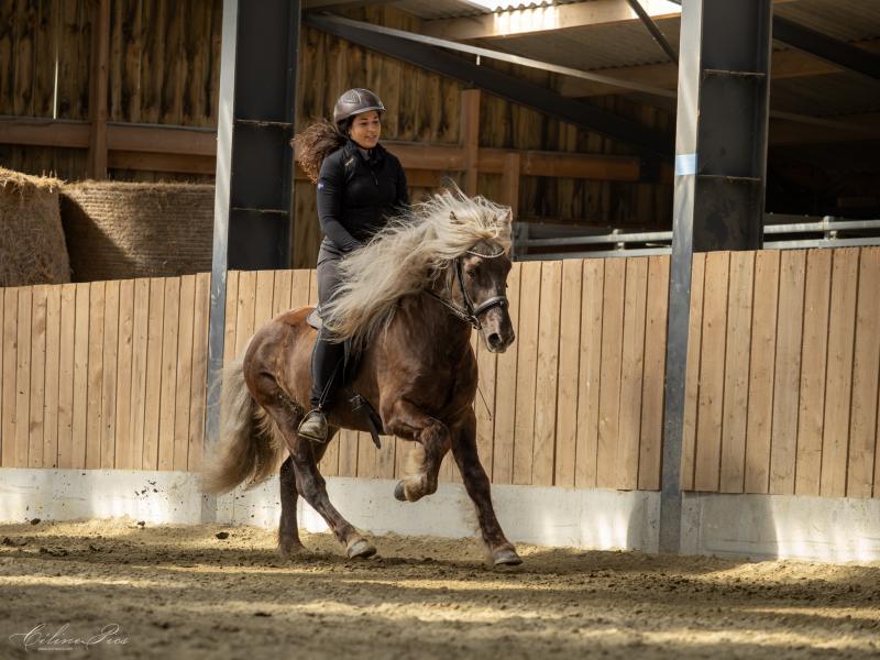 Working Student, Praktikant gesucht – ab September in der Bretagne (Frankreich)