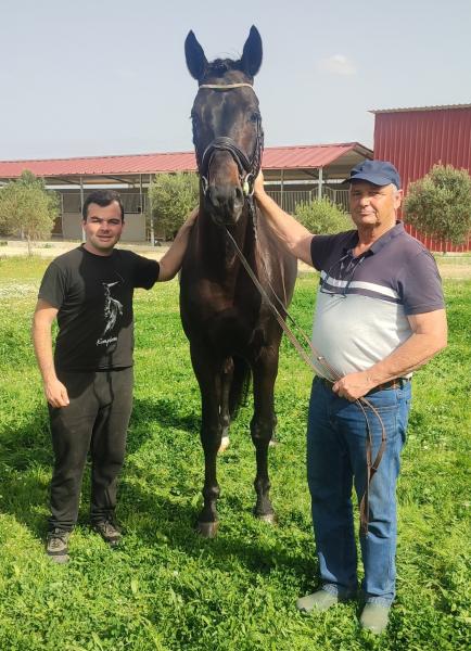 Practice,stable groom,mucking out boxes,riding experience preferred