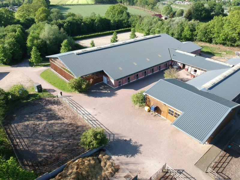 Looking for a stable hand. Horse manager/horse caretaker/stable assistant