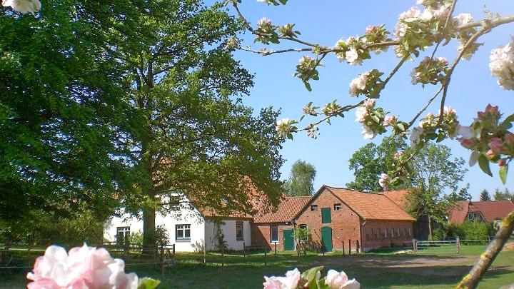 Buchenhof Haberzettl in Walsrode OT Nordkampen / Niedersachsen