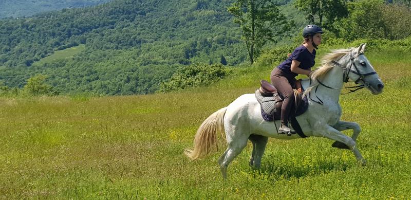 Tuscany/ Italy: Trail riding center looking for trainee or equestrian guide