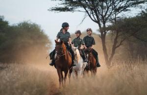 Bild 3 von Kambaku Safari Lodge