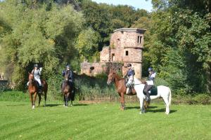 Seitenansicht von der Schlossruine