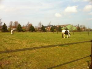 Bild 3 von Het Platte Putje