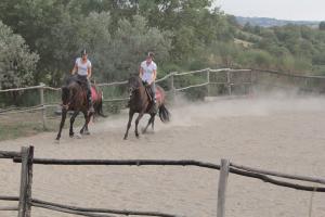 Par de deux auf dem Reitplatz