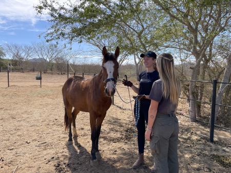 Praktikantenplätze und dauerhafte Festanstellungen auf unserer Ranch in Mexiko zu vergeben