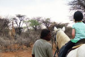 Bild 2 von Kambaku Safari Lodge