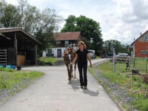 Bild 1 von Reitzentrum AC / Allstar Ranch
