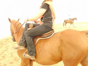 Bild 2 von Reitzentrum AC / Allstar Ranch