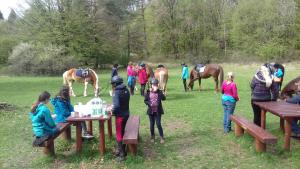 Bild 1 von Reitzentrum AC / Allstar Ranch