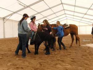 Bild 2 von Reitzentrum AC / Allstar Ranch
