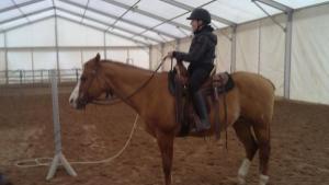 Bild 4 von Reitzentrum AC / Allstar Ranch