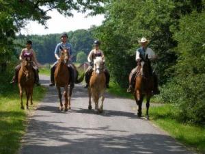 Bild 1 von Reitzentrum AC / Allstar Ranch