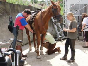 Bild 2 von Reitzentrum AC / Allstar Ranch