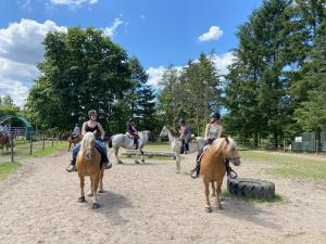 Reiten auf dem Platz