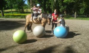 Bild 1 von Reitbetrieb Marz