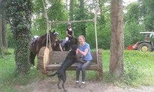 Bild 2 von Reitbetrieb Marz