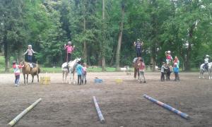 Bild 3 von Reitbetrieb Marz