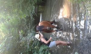 Bild 4 von Reitbetrieb Marz