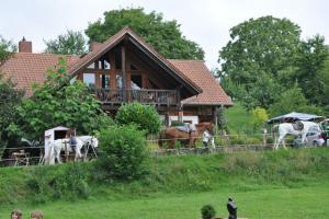 Bild 1 von Reitbetrieb Marz